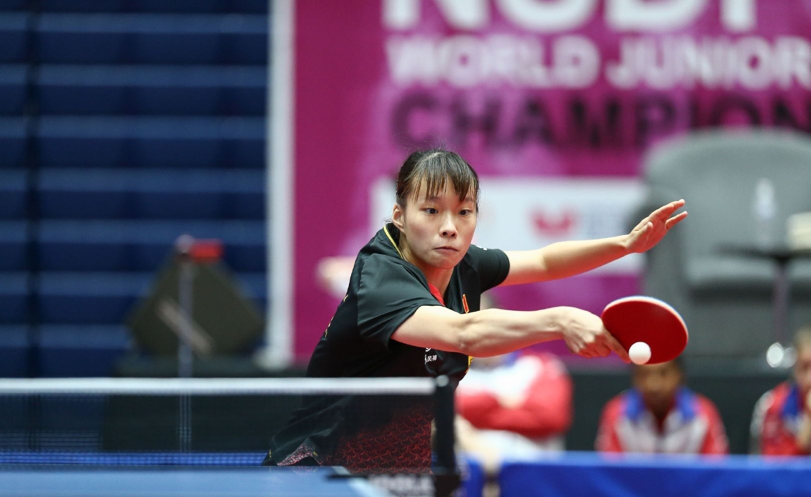 更多悬念 更多悬念