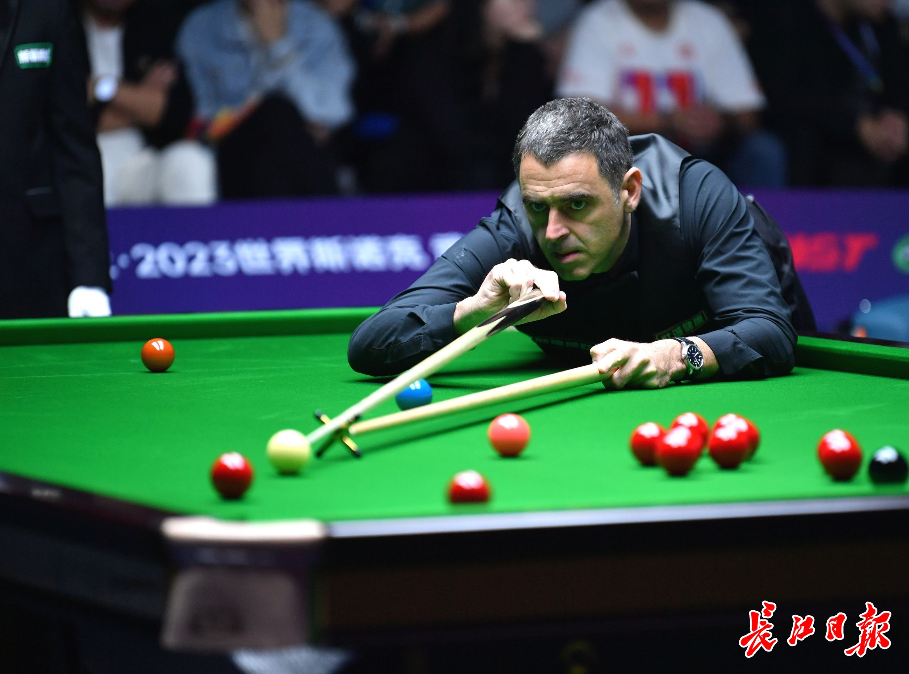 一个合格的 一个合格的