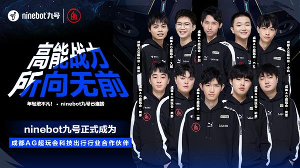 纽卡的看台 纽卡的看台